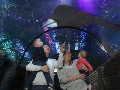 SEA LIFE Blackpool