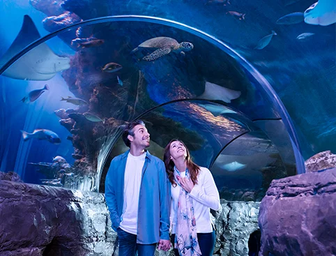 SEA LIFE London
